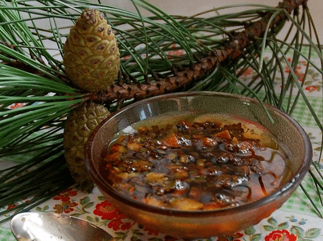 Kiefernabkochung